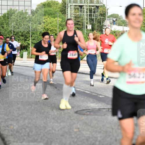 06.09.2026 - CURREX Alsterlauf Dr. Thomas Lammeyer http://msf.ph/oto/10132784 06.09.2026 09:57:08 Laufen 260, 56, 22 meine-sportfotos.de