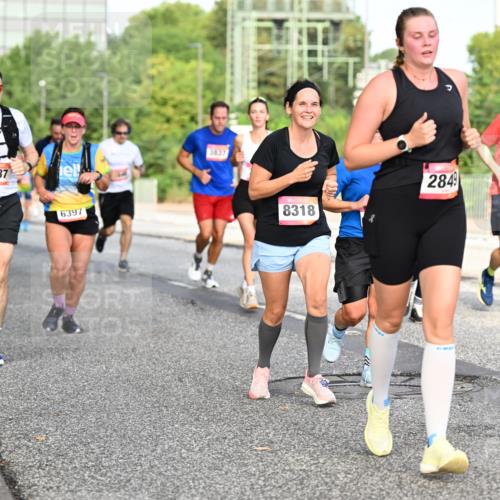 06.09.2026 - CURREX Alsterlauf Dr. Thomas Lammeyer http://msf.ph/oto/10132794 06.09.2026 09:57:09 Laufen 6187, 3837, 6397, 8318, 2849, 38 meine-sportfotos.de