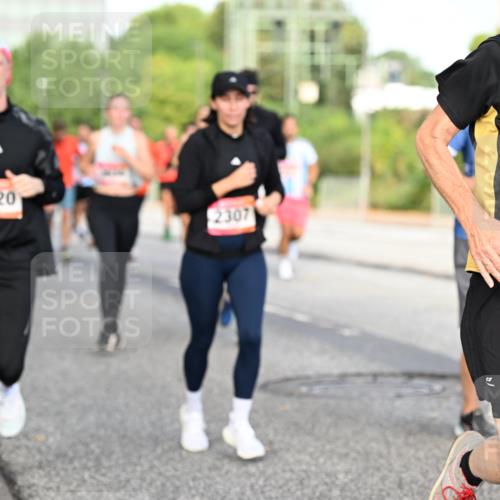 06.09.2026 - CURREX Alsterlauf Dr. Thomas Lammeyer http://msf.ph/oto/10132956 06.09.2026 09:57:25 Laufen 4120, 2015, 2307, 2531 meine-sportfotos.de