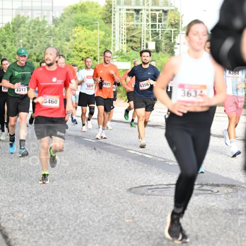 06.09.2026 - CURREX Alsterlauf Dr. Thomas Lammeyer http://msf.ph/oto/10132976 06.09.2026 09:57:27 Laufen 250, 3312, 6353, 5460, 2977, 5077, 6356, 58, 3634, 6384 meine-sportfotos.de