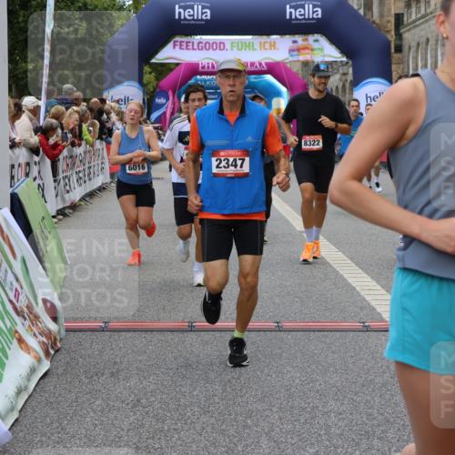 06.09.2026 - CURREX Alsterlauf Strokosch-Dieckow http://msf.ph/oto/10133084 06.09.2026 09:54:06 Ziel 2347, 3231, 3334, 3483, 3556, 3701, 3852, 3944, 4053, 4054, 4801, 4803, 4925, 4965, 5103, 5273, 5354, 5528, 5684, 5696, 5940, 6016, 6184, 6234, 8246, 8299, 8322 meine-sportfotos.de