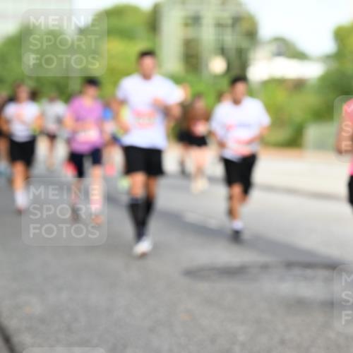 06.09.2026 - CURREX Alsterlauf Dr. Thomas Lammeyer http://msf.ph/oto/10133156 06.09.2026 09:57:45 Laufen  meine-sportfotos.de