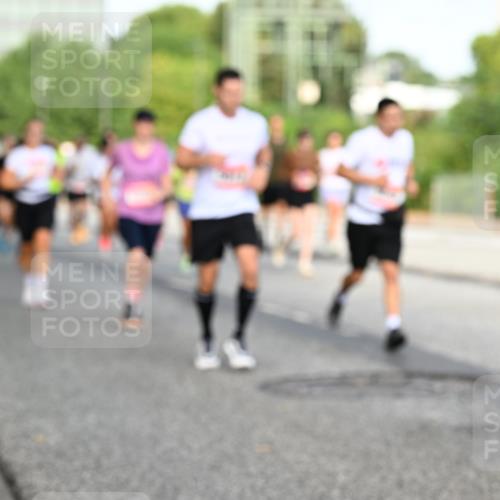 06.09.2026 - CURREX Alsterlauf Dr. Thomas Lammeyer http://msf.ph/oto/10133158 06.09.2026 09:57:46 Laufen  meine-sportfotos.de
