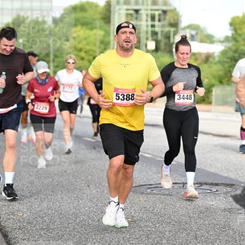 06.09.2026 - CURREX Alsterlauf Dr. Thomas Lammeyer http://msf.ph/oto/10133404 06.09.2026 09:58:09 Laufen 2229, 4122, 5388, 3448 meine-sportfotos.de