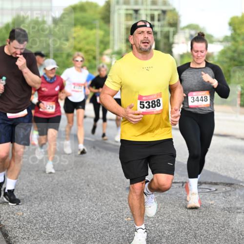 06.09.2026 - CURREX Alsterlauf Dr. Thomas Lammeyer http://msf.ph/oto/10133408 06.09.2026 09:58:09 Laufen 5388, 3448 meine-sportfotos.de