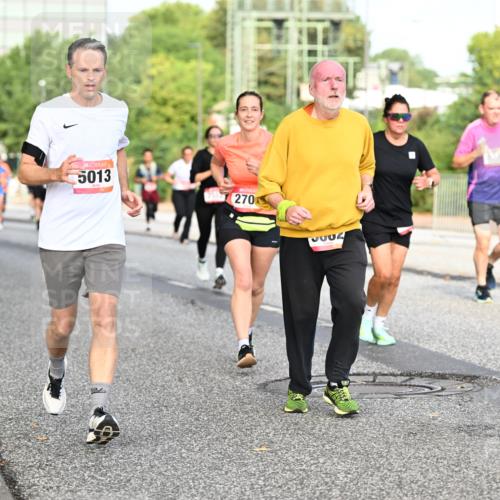 06.09.2026 - CURREX Alsterlauf Dr. Thomas Lammeyer http://msf.ph/oto/10133701 06.09.2026 09:58:43 Laufen 5013, 270, 0002, 8331 meine-sportfotos.de