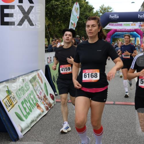06.09.2026 - CURREX Alsterlauf Strokosch-Dieckow http://msf.ph/oto/10134087 06.09.2026 10:08:02 Ziel 3296, 3666, 3757, 3758, 3915, 3916, 3932, 4159, 4841, 5049, 5256, 5290, 5324, 5597, 6168, 6361, 6395 meine-sportfotos.de