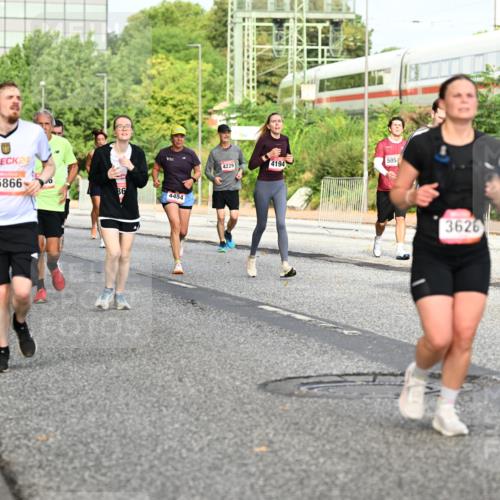 06.09.2026 - CURREX Alsterlauf Dr. Thomas Lammeyer http://msf.ph/oto/10134203 06.09.2026 09:59:27 Laufen 2741, 24, 5866, 86, 4454, 4229, 4194, 5054, 3626, 330 meine-sportfotos.de
