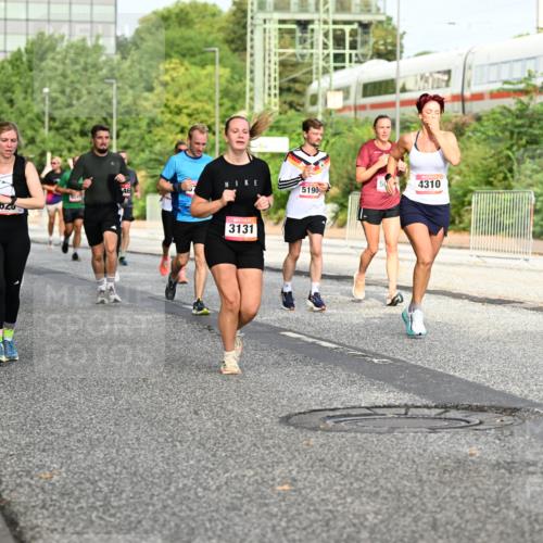 06.09.2026 - CURREX Alsterlauf Dr. Thomas Lammeyer http://msf.ph/oto/10134269 06.09.2026 09:59:32 Laufen 3919, 3620, 3131, 5190, 4310 meine-sportfotos.de