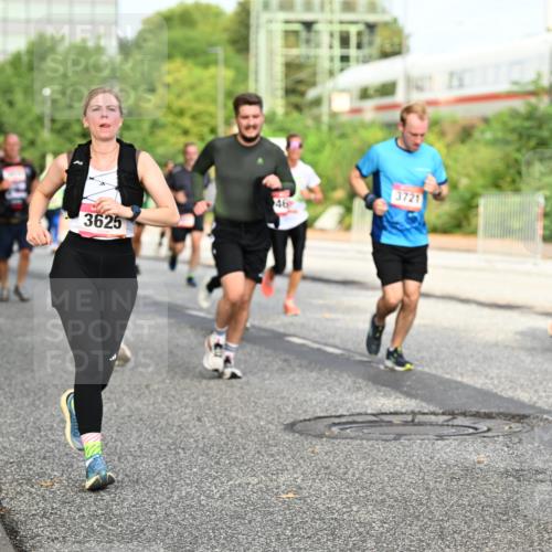 06.09.2026 - CURREX Alsterlauf Dr. Thomas Lammeyer http://msf.ph/oto/10134294 06.09.2026 09:59:35 Laufen 3625, 46, 3721, 3 meine-sportfotos.de