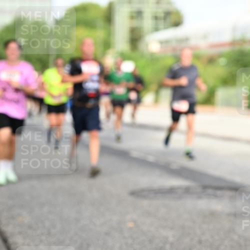 06.09.2026 - CURREX Alsterlauf Dr. Thomas Lammeyer http://msf.ph/oto/10134329 06.09.2026 09:59:38 Laufen  meine-sportfotos.de