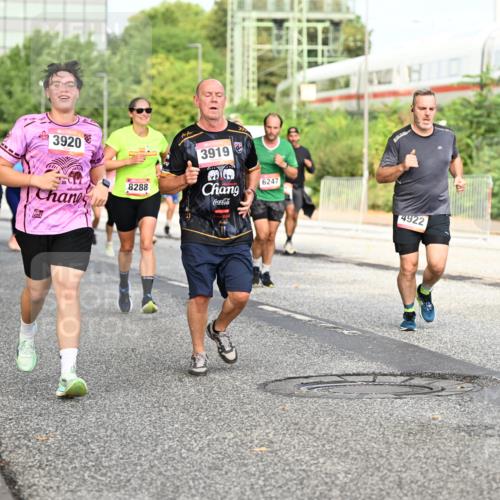 06.09.2026 - CURREX Alsterlauf Dr. Thomas Lammeyer http://msf.ph/oto/10134334 06.09.2026 09:59:39 Laufen 3920, 8288, 3919, 6247, 4922 meine-sportfotos.de