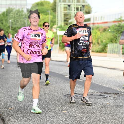 06.09.2026 - CURREX Alsterlauf Dr. Thomas Lammeyer http://msf.ph/oto/10134344 06.09.2026 09:59:40 Laufen 3920, 3919, 4922 meine-sportfotos.de