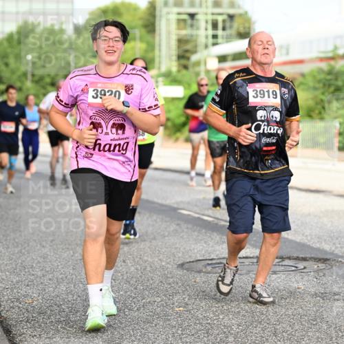 06.09.2026 - CURREX Alsterlauf Dr. Thomas Lammeyer http://msf.ph/oto/10134348 06.09.2026 09:59:40 Laufen 41, 3920, 3919, 4922 meine-sportfotos.de
