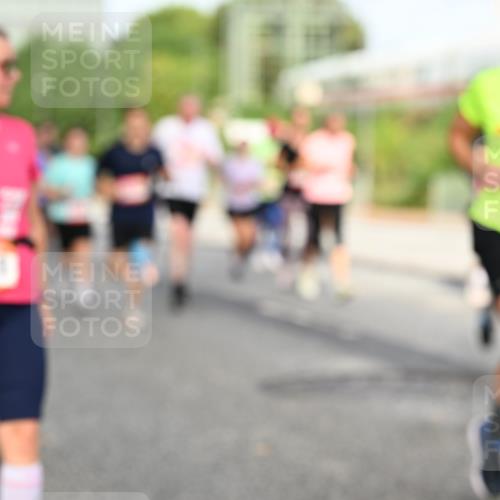 06.09.2026 - CURREX Alsterlauf Dr. Thomas Lammeyer http://msf.ph/oto/10134374 06.09.2026 09:59:42 Laufen 11746 meine-sportfotos.de