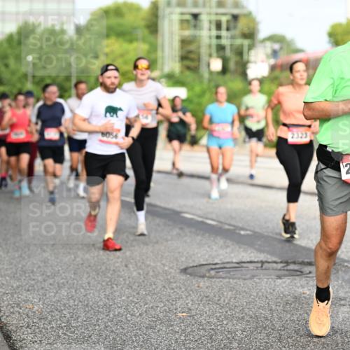 06.09.2026 - CURREX Alsterlauf Dr. Thomas Lammeyer http://msf.ph/oto/10134548 06.09.2026 09:59:57 Laufen 2323, 2448 meine-sportfotos.de