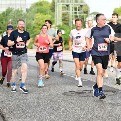 06.09.2026 - CURREX Alsterlauf Dr. Thomas Lammeyer http://msf.ph/oto/10134589 06.09.2026 10:00:00 Laufen 6344, 6345, 2629, 5756, 8323, 5737, 0, 50 meine-sportfotos.de