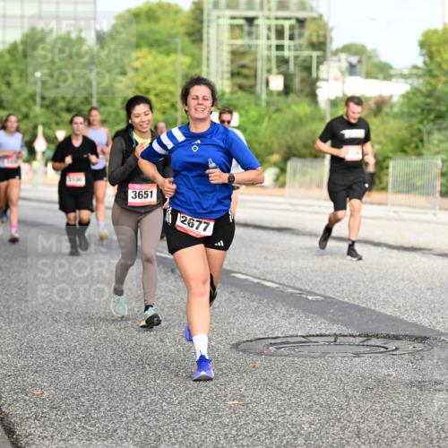 06.09.2026 - CURREX Alsterlauf Dr. Thomas Lammeyer http://msf.ph/oto/10134675 06.09.2026 10:00:08 Laufen 2943, 3100, 3651, 2677, 2042 meine-sportfotos.de