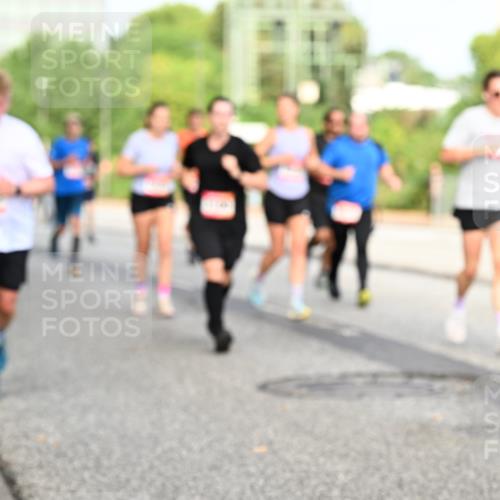 06.09.2026 - CURREX Alsterlauf Dr. Thomas Lammeyer http://msf.ph/oto/10134708 06.09.2026 10:00:11 Laufen  meine-sportfotos.de
