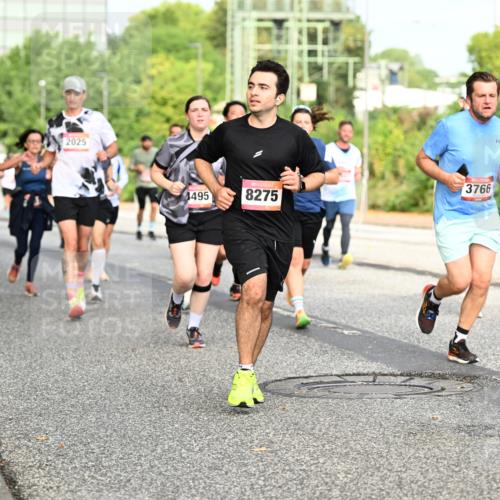 06.09.2026 - CURREX Alsterlauf Dr. Thomas Lammeyer http://msf.ph/oto/10134819 06.09.2026 10:00:20 Laufen 2025, 4495, 8275, 3766, 72 meine-sportfotos.de