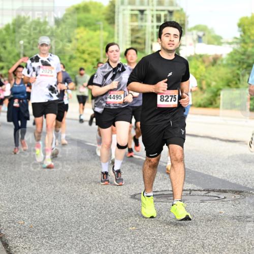 06.09.2026 - CURREX Alsterlauf Dr. Thomas Lammeyer http://msf.ph/oto/10134825 06.09.2026 10:00:20 Laufen 2025, 4495, 8275, 3766, 497 meine-sportfotos.de