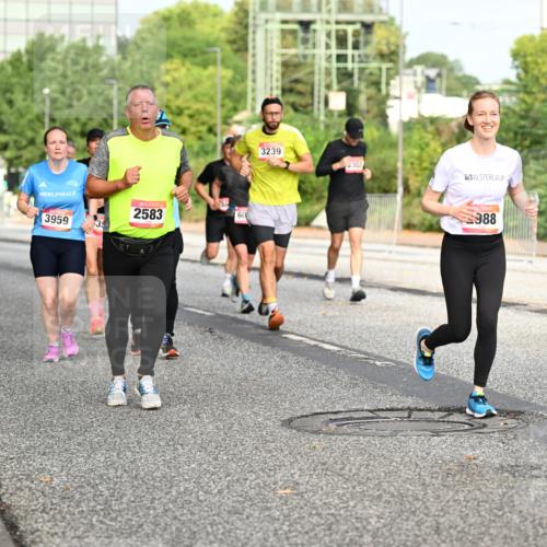 06.09.2026 - CURREX Alsterlauf Dr. Thomas Lammeyer http://msf.ph/oto/10135983 06.09.2026 10:00:48 Laufen 2583, 60, 3959, 13, 3239, 2303, 988, 2991 meine-sportfotos.de