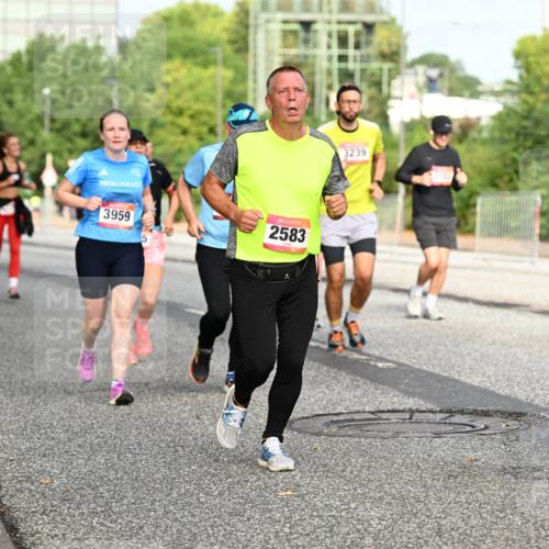 06.09.2026 - CURREX Alsterlauf Dr. Thomas Lammeyer http://msf.ph/oto/10135994 06.09.2026 10:00:49 Laufen 3959, 2583, 3239, 2988 meine-sportfotos.de
