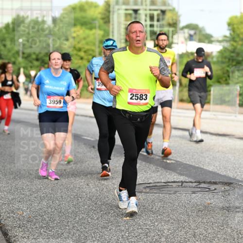 06.09.2026 - CURREX Alsterlauf Dr. Thomas Lammeyer http://msf.ph/oto/10135997 06.09.2026 10:00:49 Laufen 39, 2583, 3959 meine-sportfotos.de