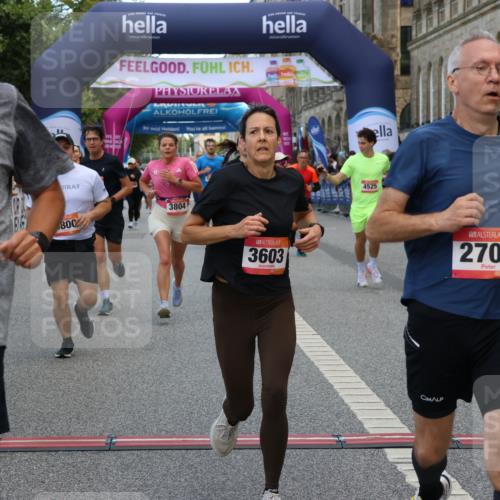 06.09.2026 - CURREX Alsterlauf Strokosch-Dieckow http://msf.ph/oto/10136112 06.09.2026 09:58:20 Ziel 2706, 2864, 3603, 3679, 3804, 4106, 4501, 4525, 4732, 4800, 5018, 5257, 5986, 6409, 8003, 8052, 8296 meine-sportfotos.de