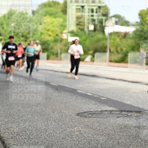 06.09.2026 - CURREX Alsterlauf Dr. Thomas Lammeyer http://msf.ph/oto/10136128 06.09.2026 10:01:01 Laufen  meine-sportfotos.de