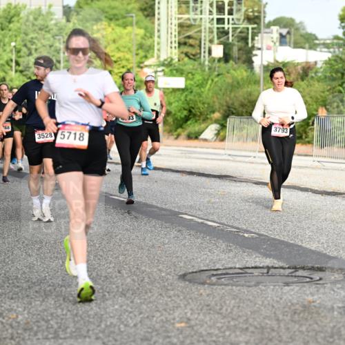 06.09.2026 - CURREX Alsterlauf Dr. Thomas Lammeyer http://msf.ph/oto/10136138 06.09.2026 10:01:04 Laufen 29, 4516, 6527, 68, 3528, 5718, 93, 3793 meine-sportfotos.de