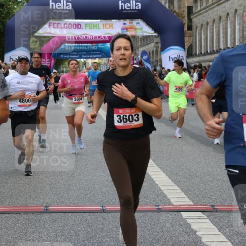 06.09.2026 - CURREX Alsterlauf Strokosch-Dieckow http://msf.ph/oto/10136139 06.09.2026 09:58:20 Ziel 2706, 2864, 3603, 3679, 3804, 4106, 4501, 4525, 4732, 4800, 5018, 5257, 5986, 6409, 8003, 8052, 8296 meine-sportfotos.de