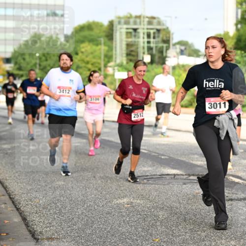 06.09.2026 - CURREX Alsterlauf Dr. Thomas Lammeyer http://msf.ph/oto/10136272 06.09.2026 10:01:16 Laufen 3412, 3109, 2512, 3011, 6253 meine-sportfotos.de