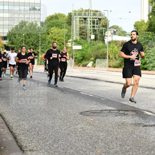 06.09.2026 - CURREX Alsterlauf Dr. Thomas Lammeyer http://msf.ph/oto/10136403 06.09.2026 10:01:28 Laufen 5044, 8249, 8064, 6209, 6039 meine-sportfotos.de