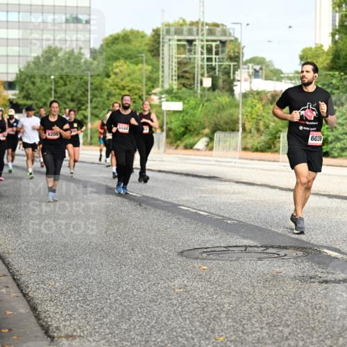 06.09.2026 - CURREX Alsterlauf Dr. Thomas Lammeyer http://msf.ph/oto/10136404 06.09.2026 10:01:28 Laufen 6209, 5044, 6039 meine-sportfotos.de