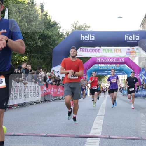 06.09.2026 - CURREX Alsterlauf Yannick Fuchs http://msf.ph/oto/10136524 06.09.2026 09:44:45 Ziel 2442, 3226, 3445, 3671, 3802, 3803, 4039, 5286, 5529, 6201, 8224, 8264 meine-sportfotos.de