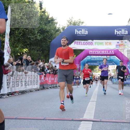 06.09.2026 - CURREX Alsterlauf Yannick Fuchs http://msf.ph/oto/10136529 06.09.2026 09:44:45 Ziel 2442, 3226, 3445, 3671, 3802, 3803, 4039, 5286, 5529, 6201, 8224, 8264 meine-sportfotos.de