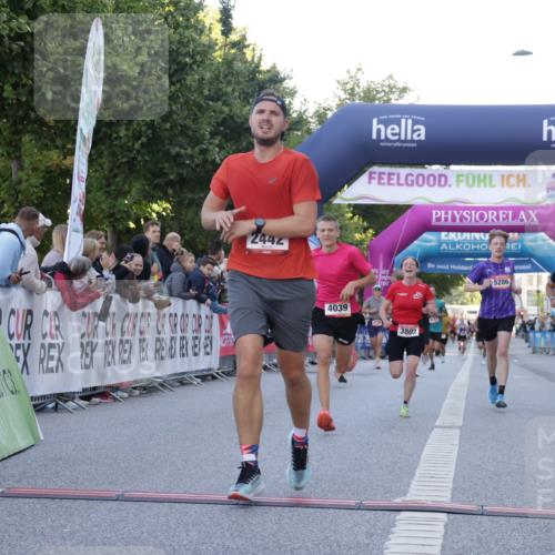 06.09.2026 - CURREX Alsterlauf Yannick Fuchs http://msf.ph/oto/10136559 06.09.2026 09:44:46 Ziel 2442, 2610, 3226, 3445, 3671, 3802, 3803, 4039, 5286, 6201, 8264 meine-sportfotos.de