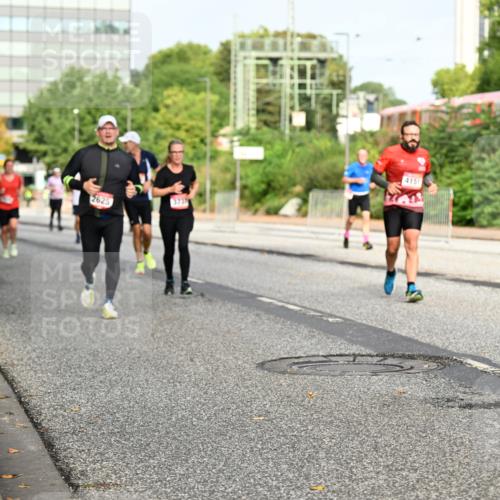 06.09.2026 - CURREX Alsterlauf Dr. Thomas Lammeyer http://msf.ph/oto/10136605 06.09.2026 10:01:46 Laufen 3737, 2625, 4151, 5135 meine-sportfotos.de