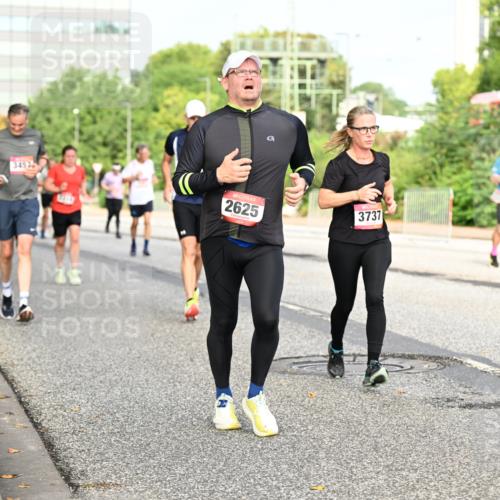 06.09.2026 - CURREX Alsterlauf Dr. Thomas Lammeyer http://msf.ph/oto/10136638 06.09.2026 10:01:49 Laufen 3452, 2625, 3737 meine-sportfotos.de
