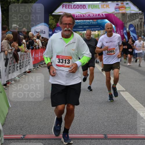 06.09.2026 - CURREX Alsterlauf Strokosch-Dieckow http://msf.ph/oto/10136735 06.09.2026 09:58:54 Ziel 2017, 2065, 2244, 2711, 3078, 3313, 3323, 3691, 4048, 4080, 4081, 4299, 4605, 4779, 5100, 5557, 5661, 6111, 6311 meine-sportfotos.de