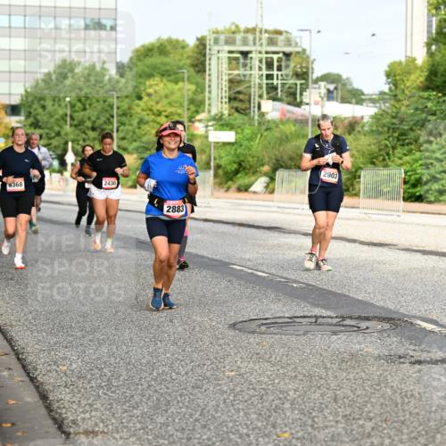 06.09.2026 - CURREX Alsterlauf Dr. Thomas Lammeyer http://msf.ph/oto/10137711 06.09.2026 10:03:33 Laufen 6368, 2430, 2903, 53, 2883 meine-sportfotos.de