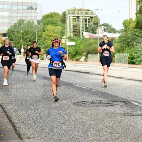 06.09.2026 - CURREX Alsterlauf Dr. Thomas Lammeyer http://msf.ph/oto/10137712 06.09.2026 10:03:34 Laufen 6368, 2430, 2883, 2903 meine-sportfotos.de