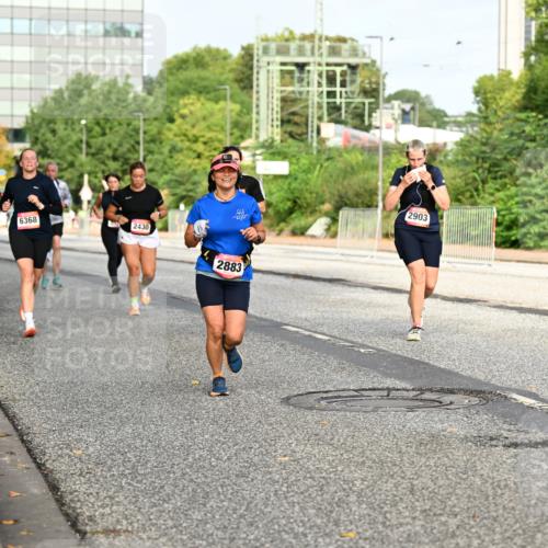 06.09.2026 - CURREX Alsterlauf Dr. Thomas Lammeyer http://msf.ph/oto/10137714 06.09.2026 10:03:34 Laufen 6368, 2430, 55, 4, 2903, 2883 meine-sportfotos.de