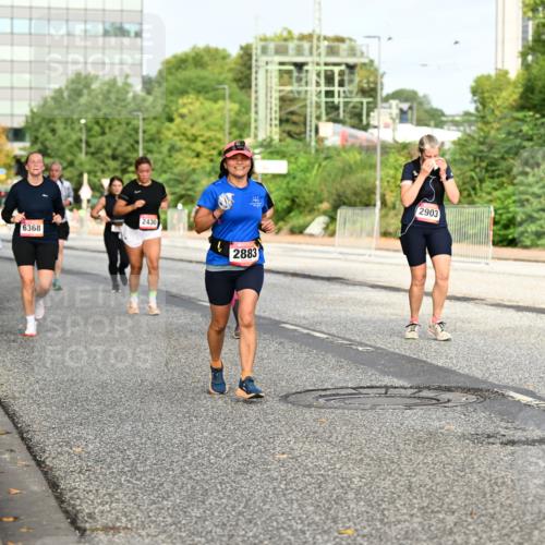 06.09.2026 - CURREX Alsterlauf Dr. Thomas Lammeyer http://msf.ph/oto/10137715 06.09.2026 10:03:34 Laufen 2430, 6368, 2883, 2903 meine-sportfotos.de