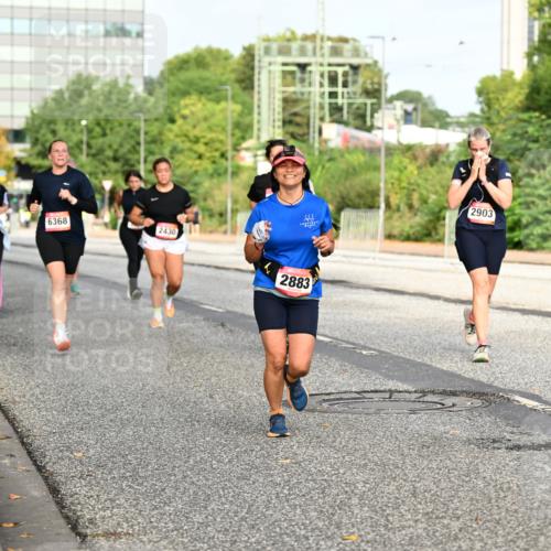06.09.2026 - CURREX Alsterlauf Dr. Thomas Lammeyer http://msf.ph/oto/10137722 06.09.2026 10:03:34 Laufen 6368, 2430, 2883, 2903 meine-sportfotos.de
