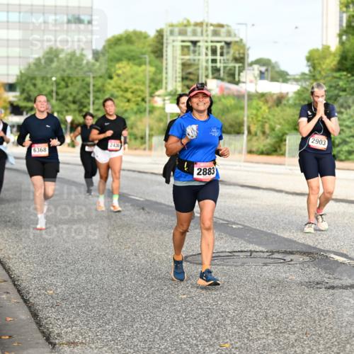 06.09.2026 - CURREX Alsterlauf Dr. Thomas Lammeyer http://msf.ph/oto/10137723 06.09.2026 10:03:35 Laufen 2430, 6368, 2883, 2903 meine-sportfotos.de