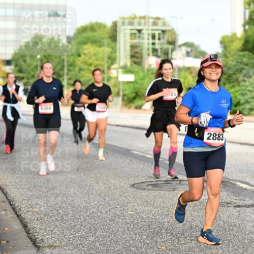 06.09.2026 - CURREX Alsterlauf Dr. Thomas Lammeyer http://msf.ph/oto/10137729 06.09.2026 10:03:35 Laufen 6368, 35, 222, 2014, 2883, 2903 meine-sportfotos.de