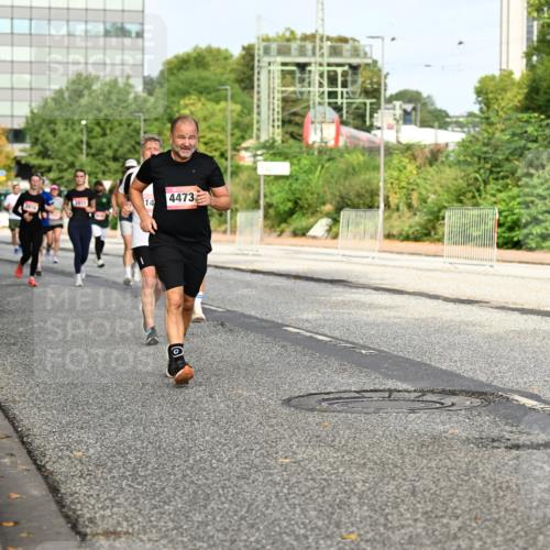 06.09.2026 - CURREX Alsterlauf Dr. Thomas Lammeyer http://msf.ph/oto/10137796 06.09.2026 10:03:44 Laufen 3916, 3915, 14, 4473 meine-sportfotos.de