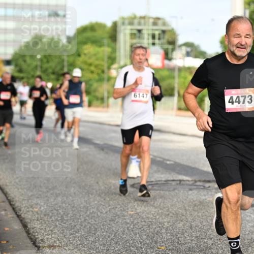 06.09.2026 - CURREX Alsterlauf Dr. Thomas Lammeyer http://msf.ph/oto/10137823 06.09.2026 10:03:46 Laufen 6147, 4473 meine-sportfotos.de